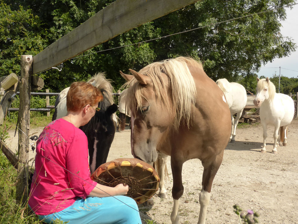 Communication animale et soins chamaniques chevaux