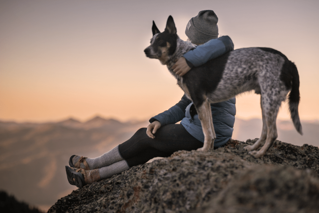 homme et son chien montagne com animale